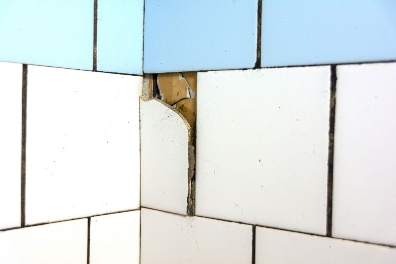 Specialized Tile Restoration Experts